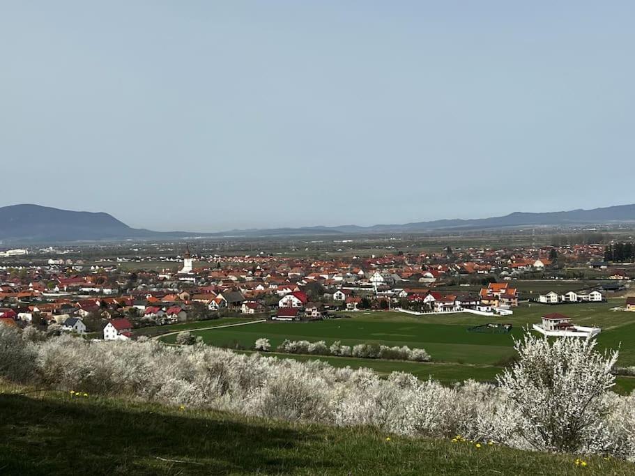 Pineview Lempes Villa *